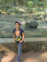 Ni&ntilde;os y ni&ntilde;as de Cali se tomaron el Zool&oacute;gico en el gran cierre de la &lsquo;vacunat&oacute;n y registrat&oacute;n&rsquo;