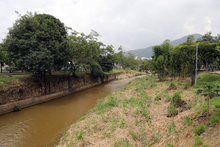 Avanza la recuperaci&oacute;n del corredor ecol&oacute;gico de la ribera del r&iacute;o Cali