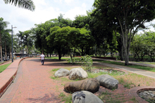 Avanza la recuperaci&oacute;n del corredor ecol&oacute;gico de la ribera del r&iacute;o Cali