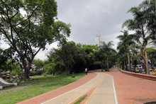 Avanza la recuperaci&oacute;n del corredor ecol&oacute;gico de la ribera del r&iacute;o Cali