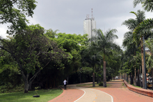 Avanza la recuperaci&oacute;n del corredor ecol&oacute;gico de la ribera del r&iacute;o Cali