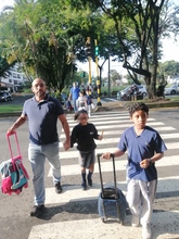 Movilidad inicia plan piloto de semaforizaci&oacute;n por la seguridad vial de los peatones&nbsp;