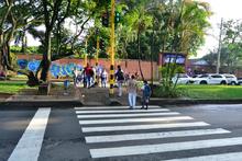 Movilidad inicia plan piloto de semaforizaci&oacute;n por la seguridad vial de los peatones&nbsp;