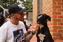 Esterilizan animales de compa&ntilde;&iacute;a durante jornada de servicios institucionales en Brisas de Mayo