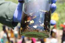 Autoridades encuentran artefactos explosivos durante operativos de desalojo en Navarro