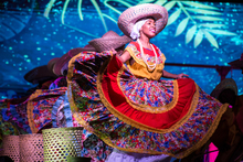 Lanzamiento afiche oficial y programaci&oacute;n del XX Festival IPC Danza con Colombia