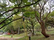 Adopci&oacute;n de zonas verdes en Cali: un programa que da frutos