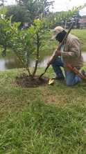 Adopci&oacute;n de zonas verdes en Cali: un programa que da frutos
