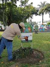 Adopci&oacute;n de zonas verdes en Cali: un programa que da frutos