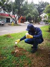 Adopci&oacute;n de zonas verdes en Cali: un programa que da frutos