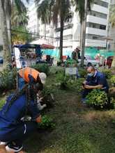 Adopci&oacute;n de zonas verdes en Cali: un programa que da frutos