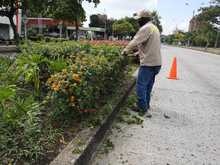 Adopci&oacute;n de zonas verdes en Cali: un programa que da frutos