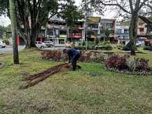 Adopci&oacute;n de zonas verdes en Cali: un programa que da frutos