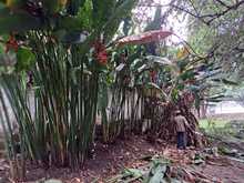 Adopci&oacute;n de zonas verdes en Cali: un programa que da frutos