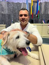 La Unidad de Protecci&oacute;n Animal: una necesidad para garantizar el bienestar de la fauna en Cali