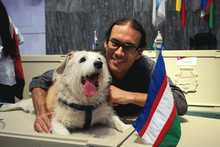 La Unidad de Protecci&oacute;n Animal: una necesidad para garantizar el bienestar de la fauna en Cali