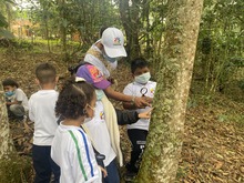 Importancia del grado transici&oacute;n para llegar a la b&aacute;sica primaria 