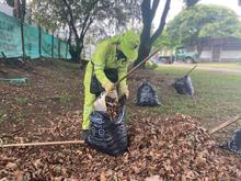 Funcionarios de la Uaesp se pusieron &lsquo;la 10&rsquo; para embellecer el Parque de la M&uacute;sica