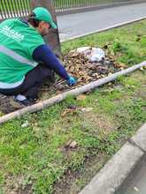 Segunda jornada amor por Cali  liber&oacute; corredores viales de 48 toneladas de residuos 