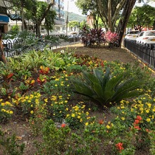 Contrataci&oacute;n de separadores viales de cara a la gente 