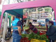 Feria de servicios municipales se tom&oacute; el corregimiento de Felidia