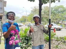 Dagma y CVC proceder&aacute;n a talar 1.000 &aacute;rboles que presentan riesgo