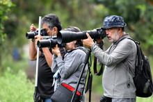 En estudio del Concejo la Semana de las Aves de Santiago de Cali, en febrero. D&eacute;jenos conocer su opini&oacute;n.  