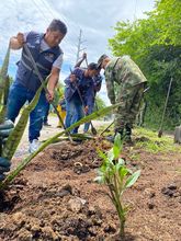 Ej&eacute;rcito y Polic&iacute;a recuperaron punto clandestino en el sur de Cali