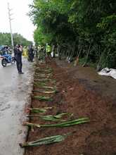 Ej&eacute;rcito y Polic&iacute;a recuperaron punto clandestino en el sur de Cali