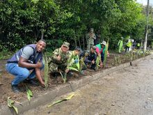 Ej&eacute;rcito y Polic&iacute;a recuperaron punto clandestino en el sur de Cali