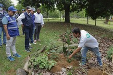 Barrio Primero de Mayo - Comuna 17