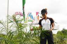 J&oacute;venes cale&ntilde;os sembraron el futuro ambiental de la Sultana del Valle