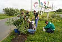 J&oacute;venes cale&ntilde;os sembraron el futuro ambiental de la Sultana del Valle