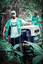 Un perro de monte y dos zarig&uuml;eyas, libres en su verdadera casa