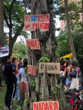 J&oacute;venes de Montebello ejemplo de compromiso  con la recuperaci&oacute;n de sus fuentes h&iacute;dricas