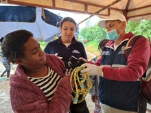Dagma brind&oacute; atenci&oacute;n veterinaria en zona inundada del jarill&oacute;n del r&iacute;o Cauca