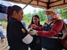 Dagma brind&oacute; atenci&oacute;n veterinaria en zona inundada del jarill&oacute;n del r&iacute;o Cauca
