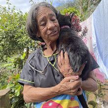 En Cali, el amor por los animales se tom&oacute; los albergues