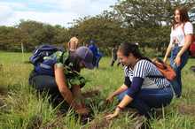 Un regalo para el Oriente