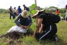 Un regalo para el Oriente