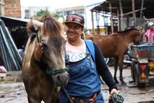 M&aacute;s de 100 equinos, libres del trabajo