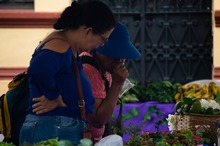 Realizan estudios de pre-inversi&oacute;n de equipamiento para acopio, distribuci&oacute;n y comercializaci&oacute;n de productos agr&iacute;colas en el centro