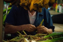 Realizan estudios de pre-inversi&oacute;n de equipamiento para acopio, distribuci&oacute;n y comercializaci&oacute;n de productos agr&iacute;colas en el centro