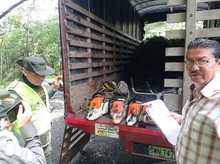 Sorprendida cuadrilla ilegal talando 8 &aacute;rboles en la comuna 19