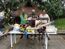 Sorprendida cuadrilla ilegal talando 8 &aacute;rboles en la comuna 19