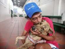 La prevenci&oacute;n de la habitanza en calle, una de las acciones de gran impacto en el 2022}