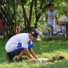 Siembra masiva de &aacute;rboles contra el cambio clim&aacute;tico 