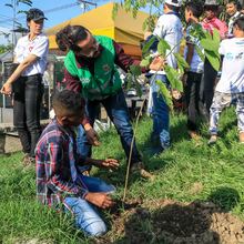 Siembra masiva de &aacute;rboles contra el cambio clim&aacute;tico 