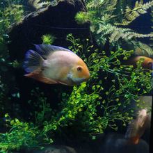 Expedici&oacute;n &lsquo;Todas y Todos a Estudiar&rsquo;, por el zool&oacute;gico de Cali