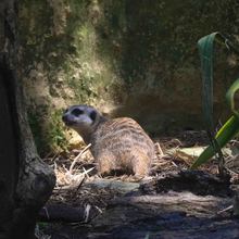Expedici&oacute;n &lsquo;Todas y Todos a Estudiar&rsquo;, por el zool&oacute;gico de Cali
